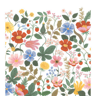 W4303-517 KRAVET DESIGN W4303-517 KRAVET DESIGN Wallpaper