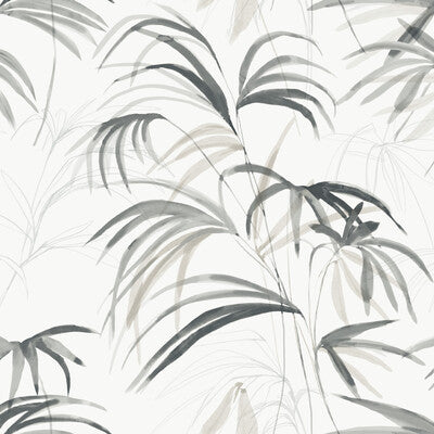 W4305-21 KRAVET DESIGN W4305-21 KRAVET DESIGN Wallpaper