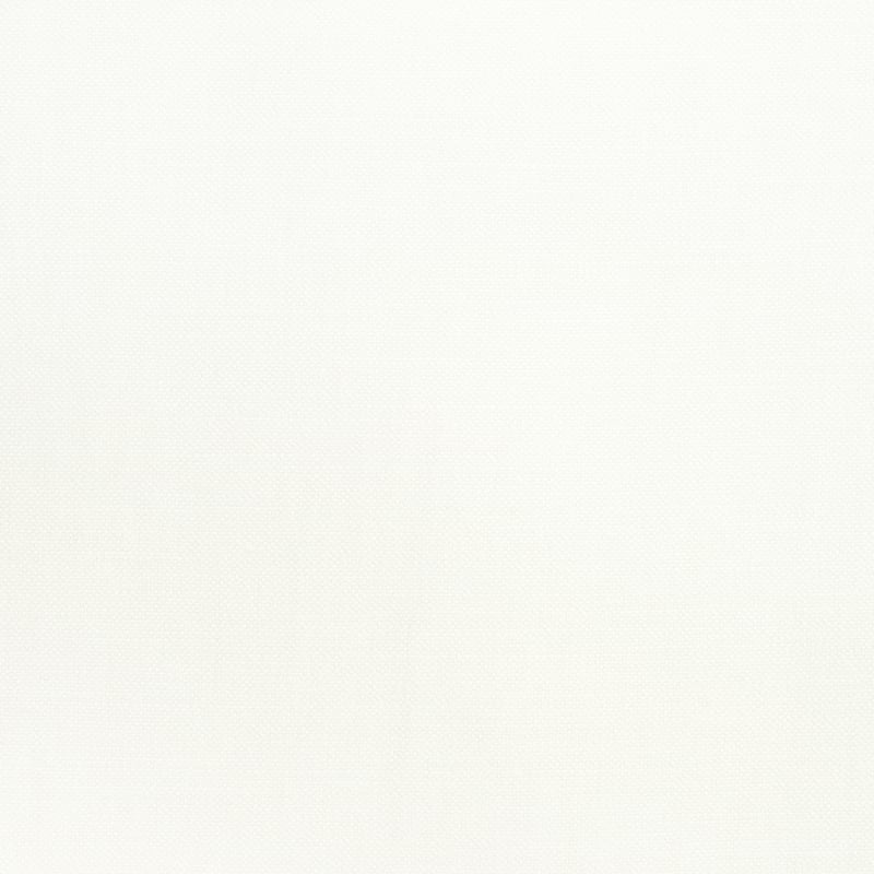 W70101 Thibaut Snow White Fabric
