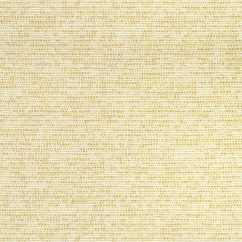 W75232 Thibaut Buttercup Fabric