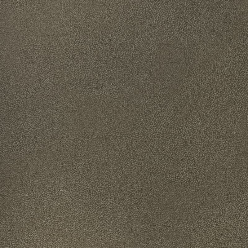 W78396 Thibaut Hickory Fabric