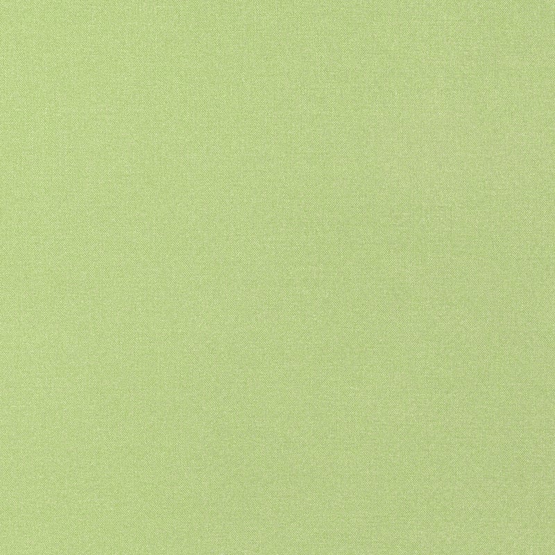 W81656 Thibaut Kiwi Fabric