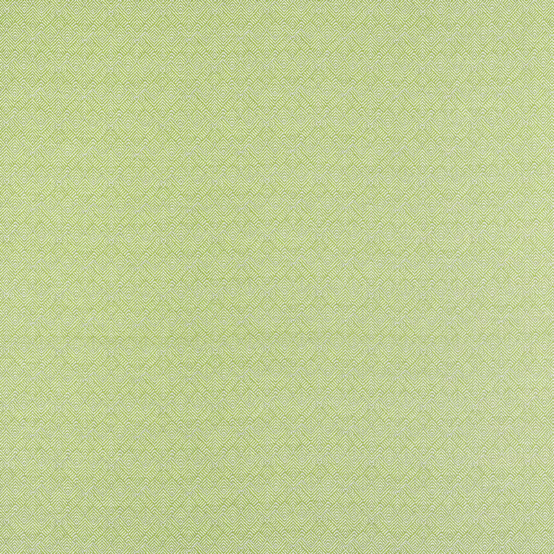 W81716 Thibaut Kiwi Fabric
