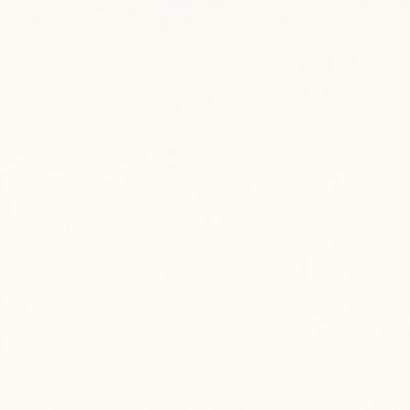 W81734 Thibaut Ivory Fabric