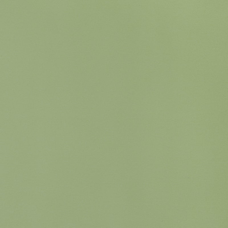 W8923 Thibaut Moss Fabric