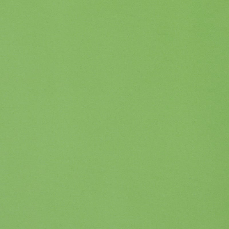 W8924 Thibaut Grass Fabric