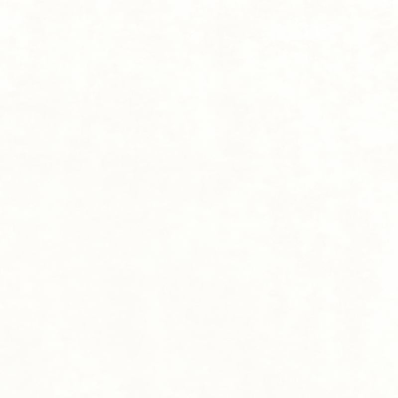 W8964 Thibaut Ivory Fabric