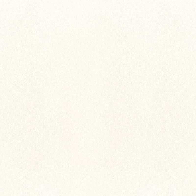 W9013 Thibaut Ivory Fabric