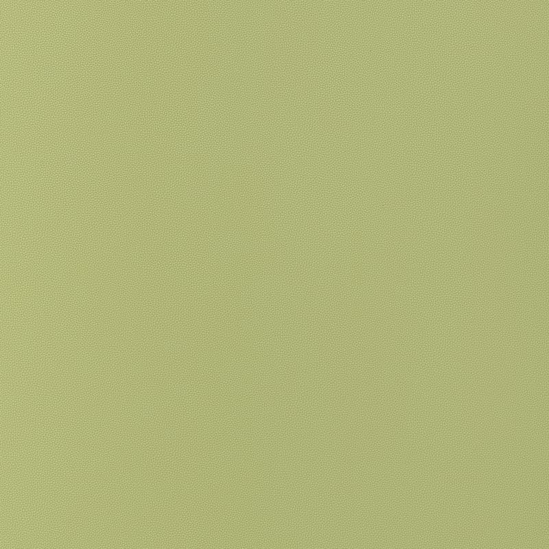 W9029 Thibaut Apple Fabric