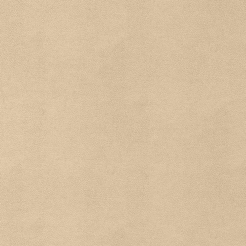 W9052 Thibaut Suede Fabric