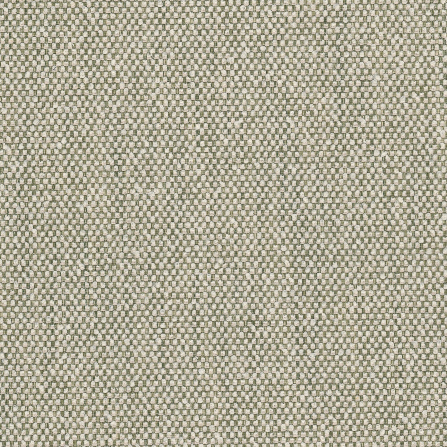 WAMPUM Stout Upholstery