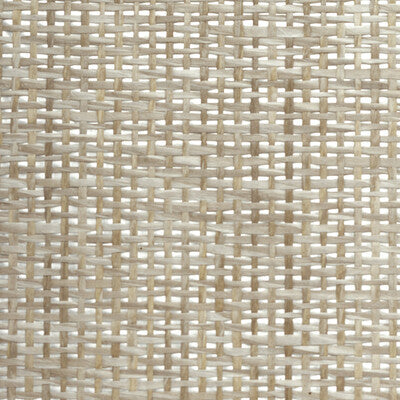 WBG5117P-WT PAPERWEAVEP 0P WINFIELD THYBONY Wallpaper
