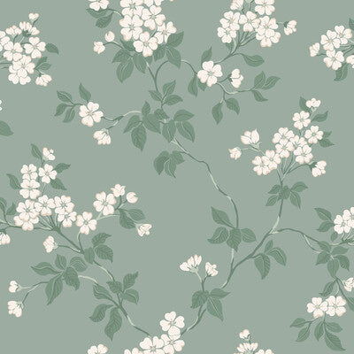 WDR1025-WT BLOMMA ROBIN'S EGG WINFIELD THYBONY Wallpaper