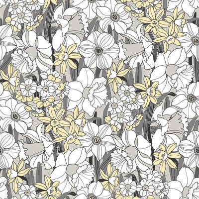 WDR1042-WT JUNI ONYX WINFIELD THYBONY Wallpaper