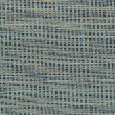 WDW2120P-WT STINSON SALTWATERP WINFIELD THYBONY Wallpaper