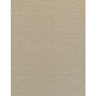 WDW2273-WT SINCLAIR TAR-TAN WINFIELD THYBONY Wallpaper