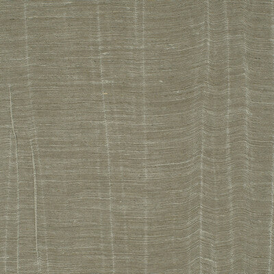 WDW2319-WT IVERSON CATTAIL WINFIELD THYBONY Wallpaper