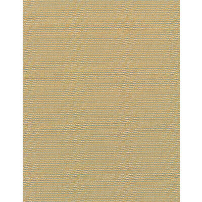 WDW2341-WT ELZA OLYMPUS WINFIELD THYBONY Wallpaper