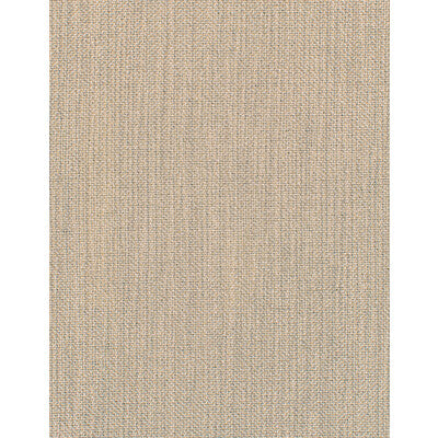 WDW2373-WT ASTRID CHENILLE WINFIELD THYBONY Wallpaper