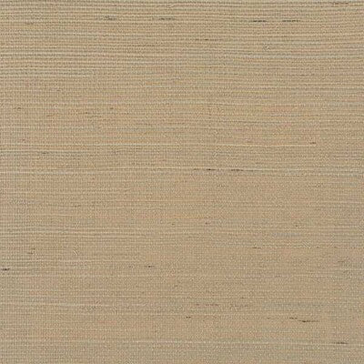 WDW2401P-WT DISTINCTIVE SISALS ACORNP WINFIELD THYBONY Wallpaper