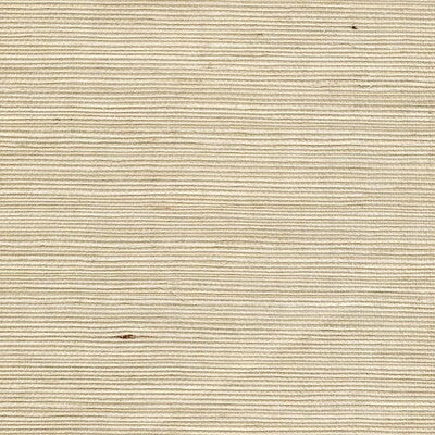 WDW2410-WT DISTINCTIVE SISALS CANVAS WINFIELD THYBONY Wallpaper