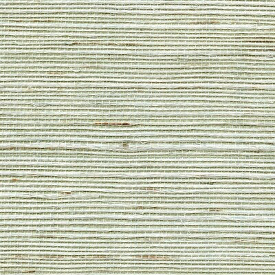 WDW2411-WT DISTINCTIVE SISALS CELERY SALT WINFIELD THYBONY Wallpaper