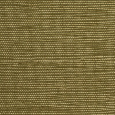 WDW2413-WT DISTINCTIVE SISALS MOSS WINFIELD THYBONY Wallpaper