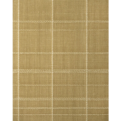 WFT1619-WT VARRONE SAFFRON WINFIELD THYBONY Wallpaper