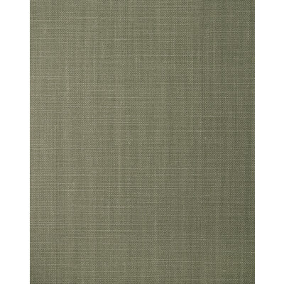 WFT1682-WT BALEN OLIVENE WINFIELD THYBONY Wallpaper