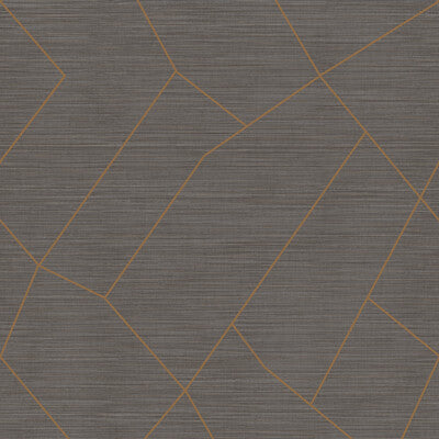 WHF1760-WT VIVACE GRAND GRAPHITE WINFIELD THYBONY Wallpaper