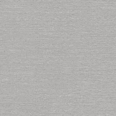 WHF3005-WT RADIUS BIRCH WINFIELD THYBONY Wallpaper