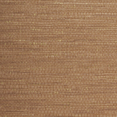 WHF3041-WT DRAKE UMBER WINFIELD THYBONY Wallpaper