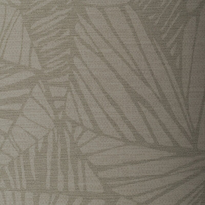 WHF3267-WT PHOENIX COBRA WINFIELD THYBONY Wallpaper