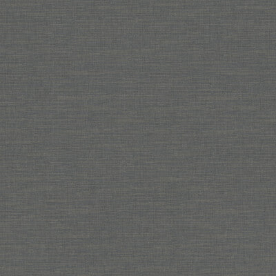 WHF3696-WT TANNIN CHARCOAL WINFIELD THYBONY Wallpaper