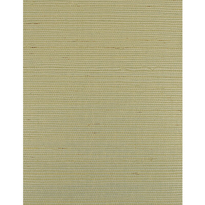 WIW2526-WT BERMUDA POWDER WINFIELD THYBONY Wallpaper
