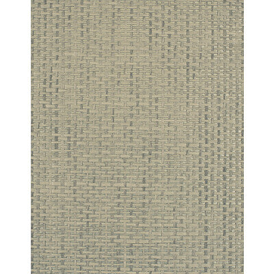 WIW2556-WT PLAYA SILVER WINFIELD THYBONY Wallpaper