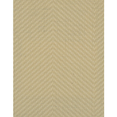 WIW2574-WT HAMILTON SHELL WINFIELD THYBONY Wallpaper