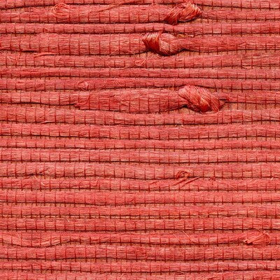 WNR1131-WT BENGALI WINFIELD THYBONY Wallpaper