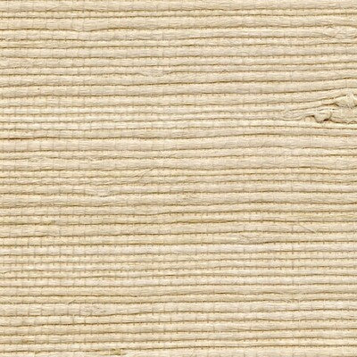 WNR1186-WT PETITE BENGALI WINFIELD THYBONY Wallpaper