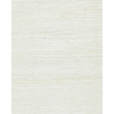 WNR2022-WT CHIYO SISAL MELLOW YELLOW WINFIELD THYBONY Wallpaper