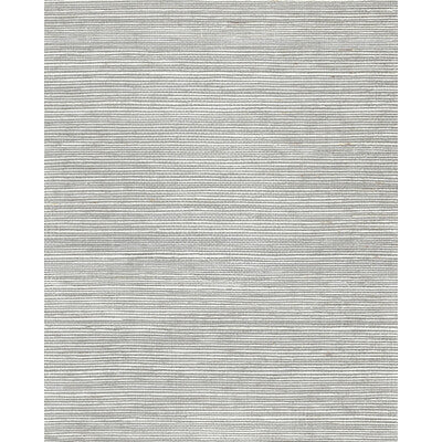 WNR2025-WT CHIYO SISAL BUFF WINFIELD THYBONY Wallpaper