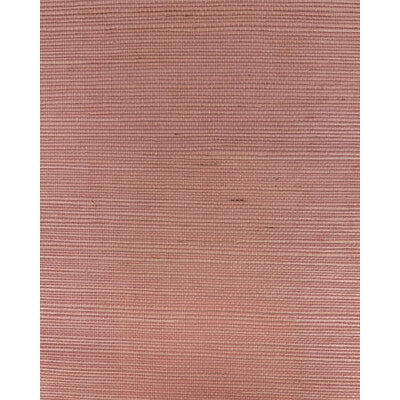 WNR2073-WT CHIYO SISAL PETAL PINK WINFIELD THYBONY Wallpaper