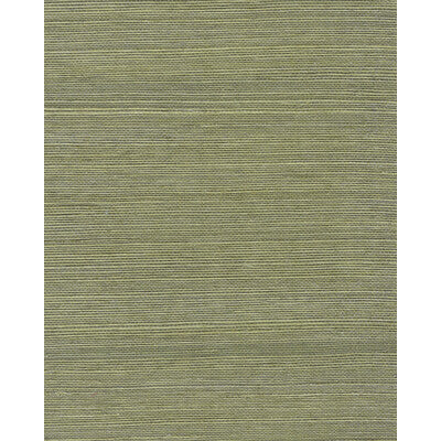 WNR2112-WT CHIYO SISAL MOSS WINFIELD THYBONY Wallpaper