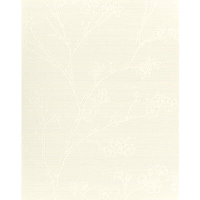 WNS5509-WT KAISA SUGAR WINFIELD THYBONY Wallpaper