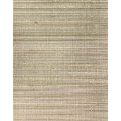 WNS5521-WT GRAYSON MUD WINFIELD THYBONY Wallpaper