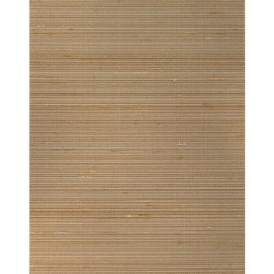 WNS5522-WT GRAYSON BRONZE WINFIELD THYBONY Wallpaper