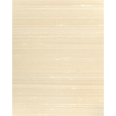 WNS5525-WT GRAYSON SEASHELL WINFIELD THYBONY Wallpaper