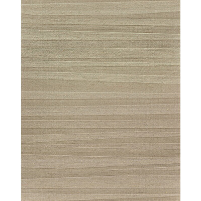 WNS5535-WT ARLETTE CAPPUCCINO WINFIELD THYBONY Wallpaper