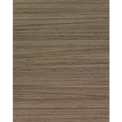 WNS5537-WT ARLETTE JACOBEAN WINFIELD THYBONY Wallpaper