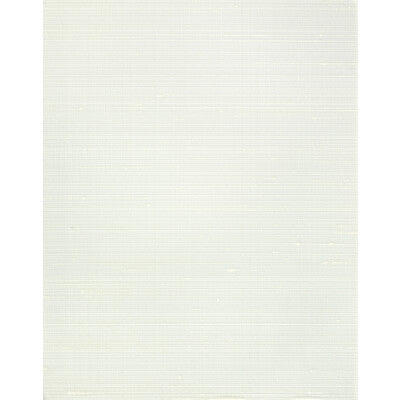 WNS5545-WT MISHEO ICE WINFIELD THYBONY Wallpaper